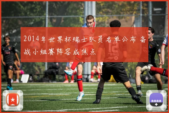 2014年世界杯瑞士队员名单公布 备战小组赛阵容成焦点