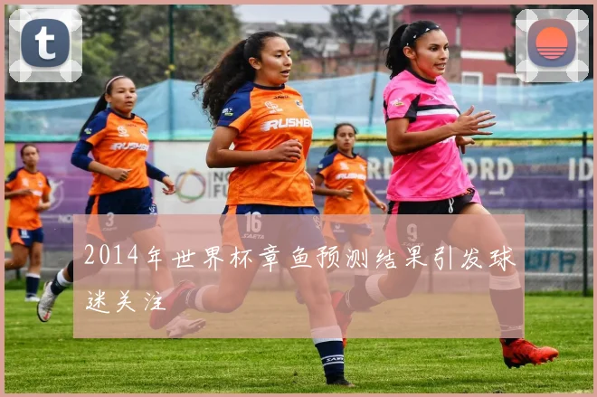 2014年世界杯章鱼预测结果引发球迷关注